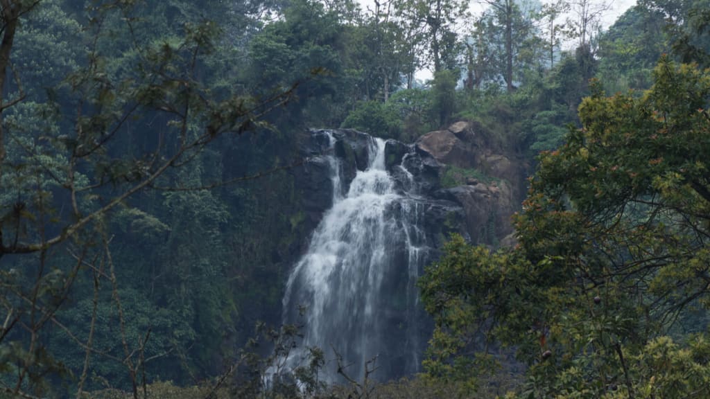 Waterfall framed by tree branches